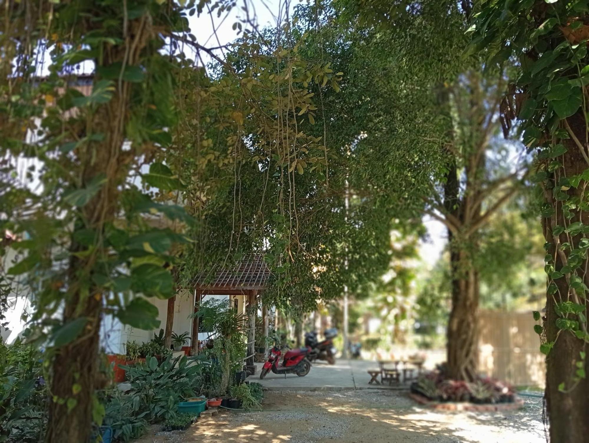 Vangvieng Ruby'Homestay 万荣 外观 照片
