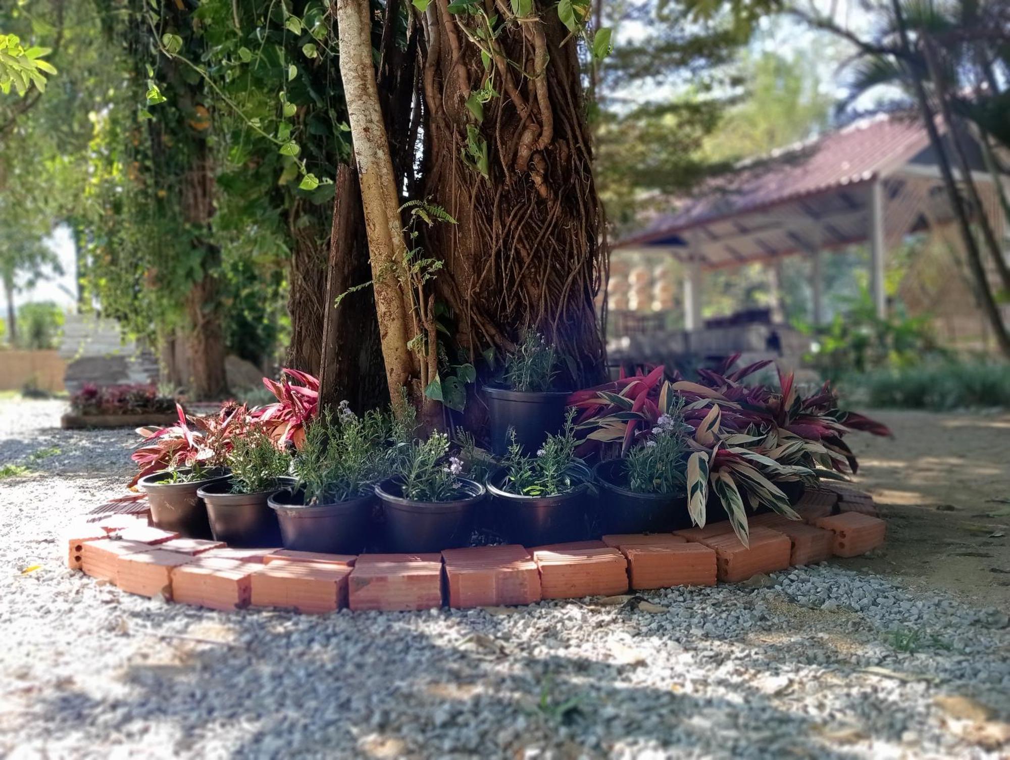 Vangvieng Ruby'Homestay 万荣 外观 照片