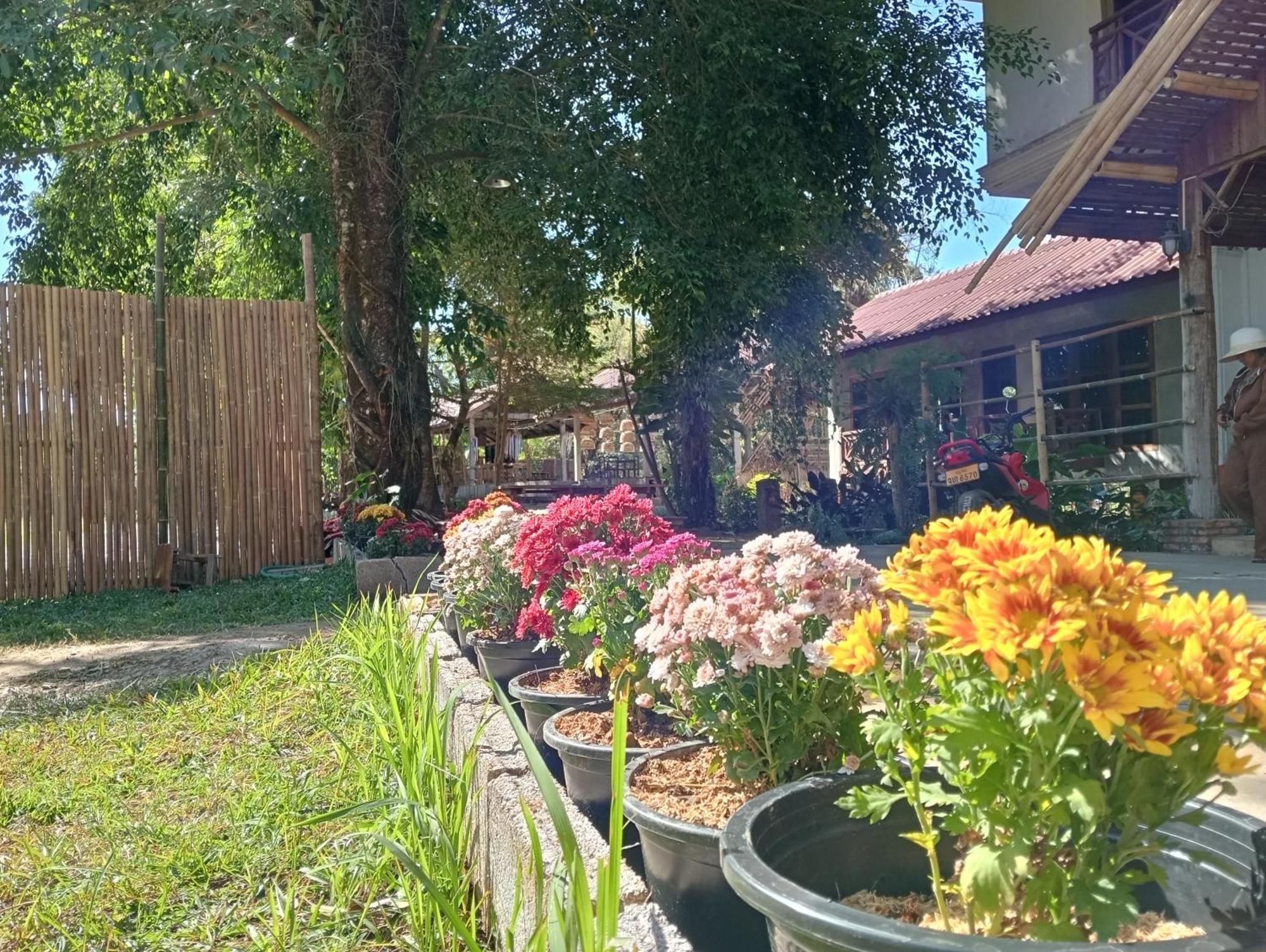 Vangvieng Ruby'Homestay 万荣 外观 照片