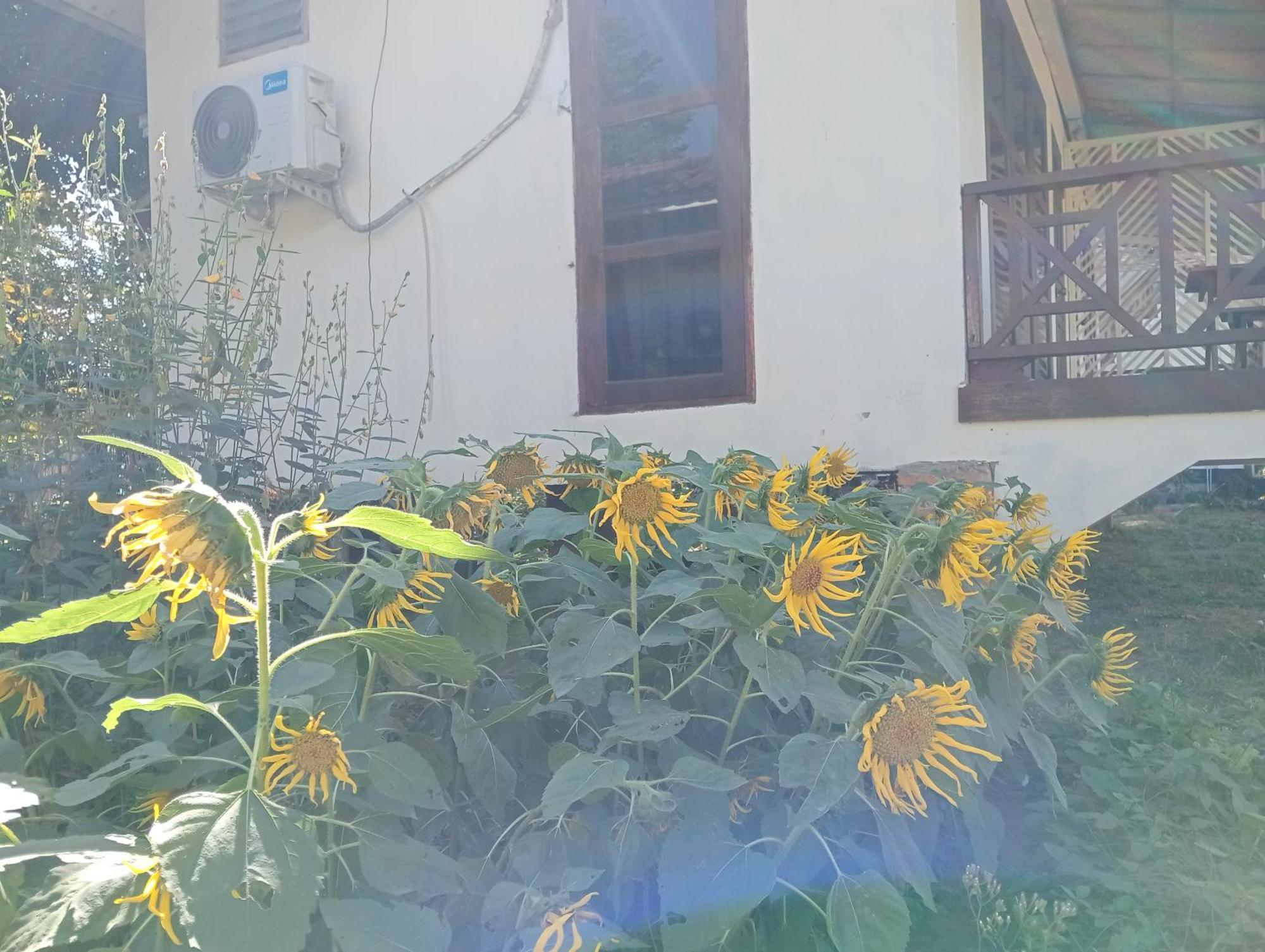 Vangvieng Ruby'Homestay 万荣 外观 照片