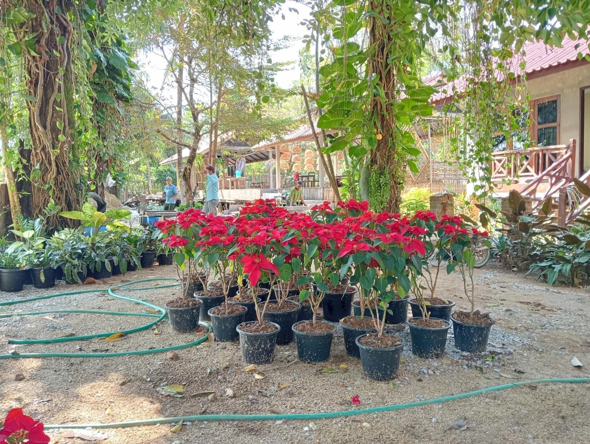 Vangvieng Ruby'Homestay 万荣 外观 照片
